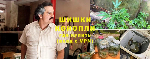 гашик Вяземский