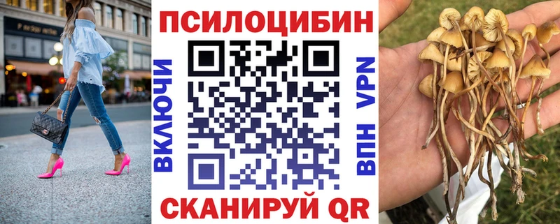 даркнет сайт  Донецк  дарк нет формула  Псилоцибиновые грибы Cubensis 